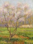 Apple Tree in Blossom, Pommiers en Fleurs-Henri Martin-Giclee Print