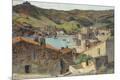 Giclee Print