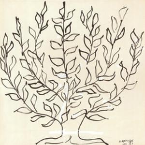 Le Platane by Henri Matisse