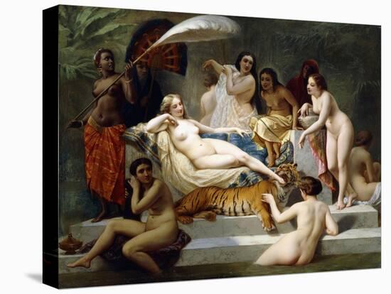 Stretched Canvas Print, , large