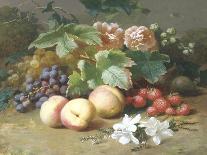 Still Life with Flowers and Fruit-Henri Robbe-Premier Image Canvas