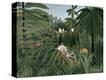 Stretched Canvas Print