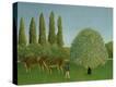 Stretched Canvas Print