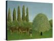 Stretched Canvas Print
