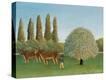 Stretched Canvas Print