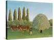 Stretched Canvas Print