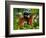 Henri Rousseau's Dream, 1997-Frances Broomfield-Framed Giclee Print