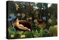 Stretched Canvas Print