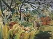 Premium Giclee Print
