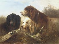 Good Friends-Henri Schouten-Premier Image Canvas