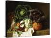 Stretched Canvas Print