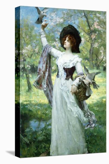 Stretched Canvas Print, , large