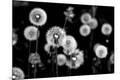 Premium Photographic Print