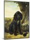 Premium Giclee Print