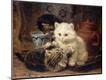 Giclee Print