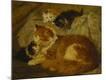 Premium Giclee Print