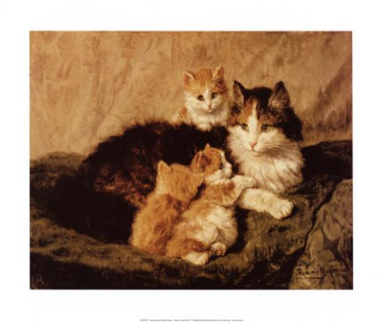 Art Print, , large