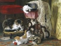 The New Arrivals, 19th Century-Henriette Ronner Knip-Giclee Print