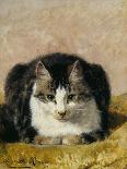 Troublesome Twins-Henriette Ronner Knip-Giclee Print