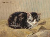 The Cat at Play, by Henriette Ronner, C. 1860-78, Belgian-Dutch Painting on Panel-Henriette Ronner-Framed Art Print