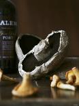 Various Types of Mushrooms in Front of Port Wine Bottle-Henrik Freek-Photographic Print