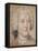 Henry, 9th Earl of Pembroke (1693-1751)-William Hoare-Framed Premier Image Canvas