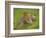 Henry Allen in Cricketing Whites-Henry Scott Tuke-Framed Giclee Print