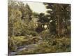 Giclee Print