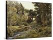 Stretched Canvas Print