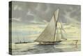 Stretched Canvas Print