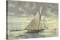 Stretched Canvas Print