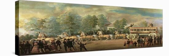 Stretched Canvas Print, , large