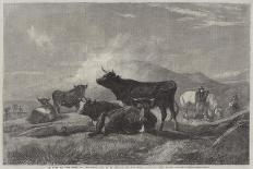 Cattle on the Sands, Near Port Madoc, North Wales-Henry Brittan Willis-Giclee Print