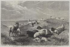 Farmyard in Herefordshire-Henry Brittan Willis-Giclee Print