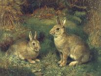 Rabbits-Henry Carter-Laminated Giclee Print