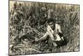 Photographic Print