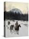 Stretched Canvas Print
