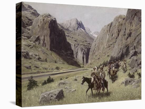 Stretched Canvas Print, , large