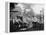 Henry Ford, Thomas Edison, President Warren Harding and Harvey Firestone-null-Framed Stretched Canvas