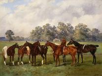 A Group of Polo Ponies, Dainty, Gold, Redskin, Miss Edge, and Piper-Henry Frederick Lucas-Lucas-Mounted Giclee Print