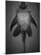 Premium Photographic Print
