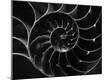 Premium Photographic Print