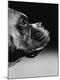 Premium Photographic Print