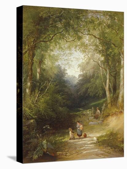 Stretched Canvas Print, , large