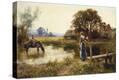 Stretched Canvas Print