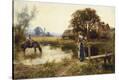 Stretched Canvas Print
