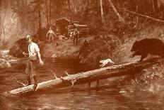 Bear approaches fishermen in the woods-Henry Marriott Paget-Giclee Print