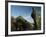 Henry Moore Sculpture Near Kenwood House on Hampstead Heath, North London, England, United Kingdom-David Hughes-Framed Photographic Print