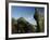 Henry Moore Sculpture Near Kenwood House on Hampstead Heath, North London, England, United Kingdom-David Hughes-Framed Photographic Print