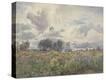 Stretched Canvas Print